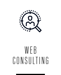 WEB CONSULTING
